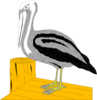 Pelican On Dock Clip Art
